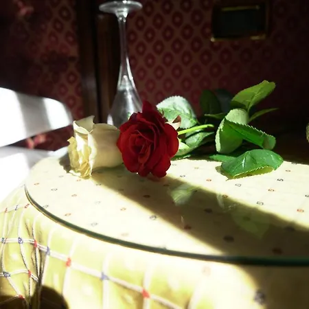 게스트하우스 Ca' Morosini 3*